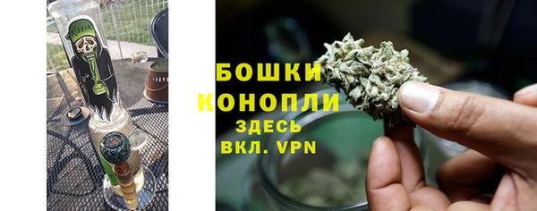 прущие грибы Заводоуковск