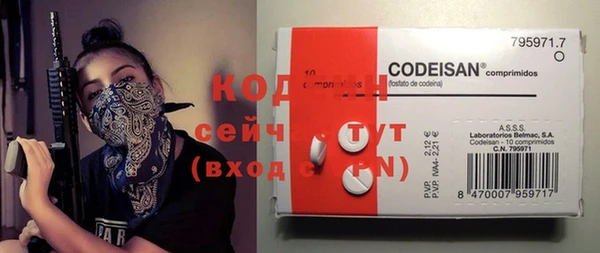 спиды Елизово