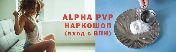 молекула духа Елабуга