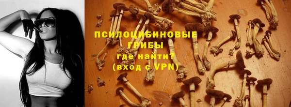 твердый Туринск